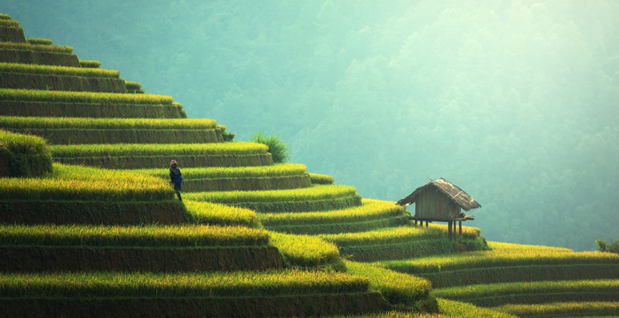 Malaysia01